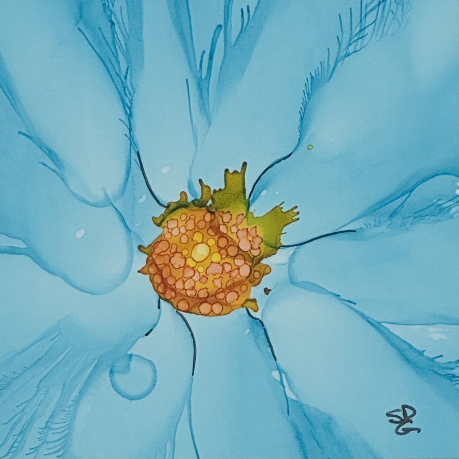 Sky Blue Daisy
