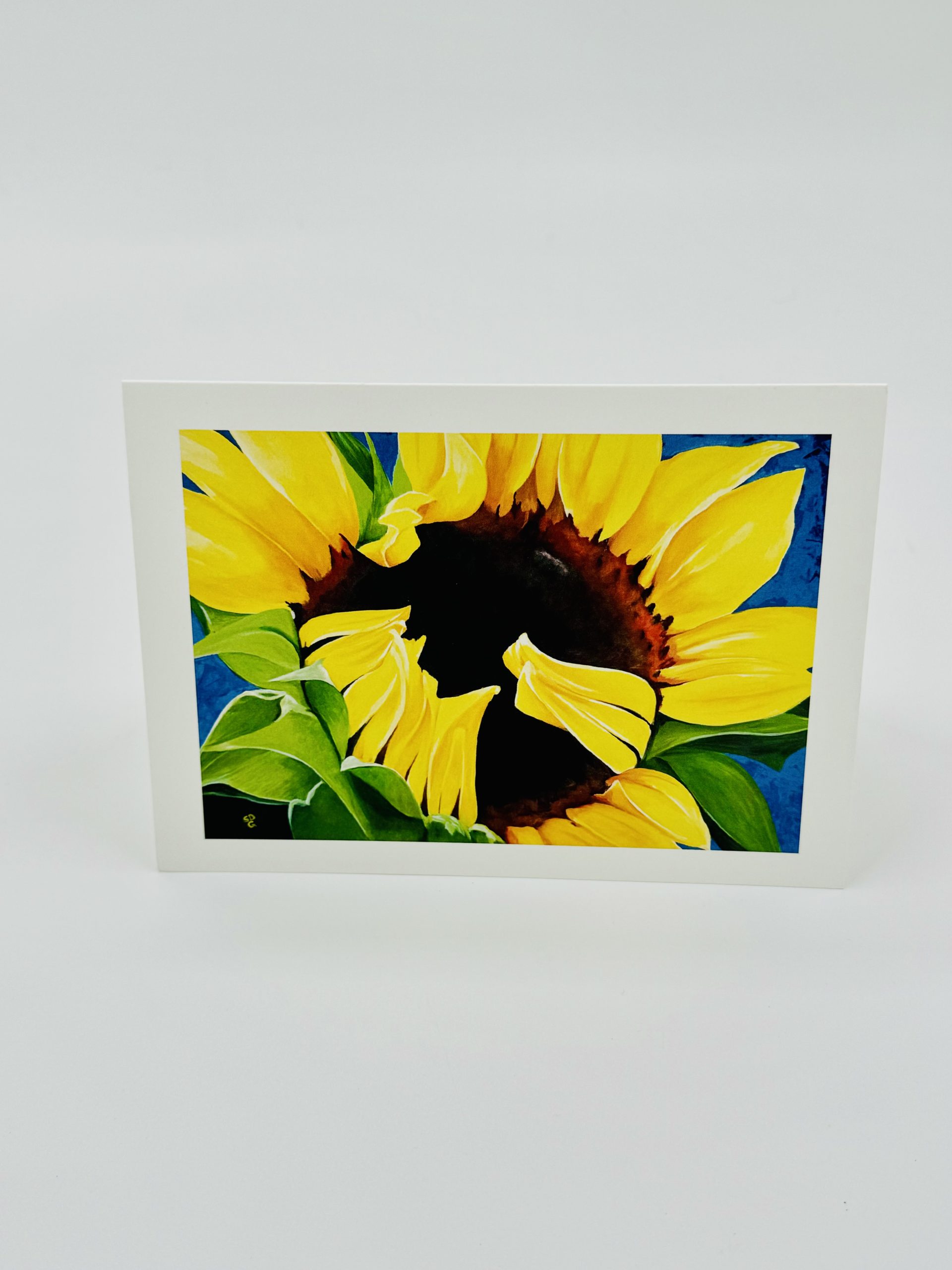 Clarissa Sunflower (pkg of 5)